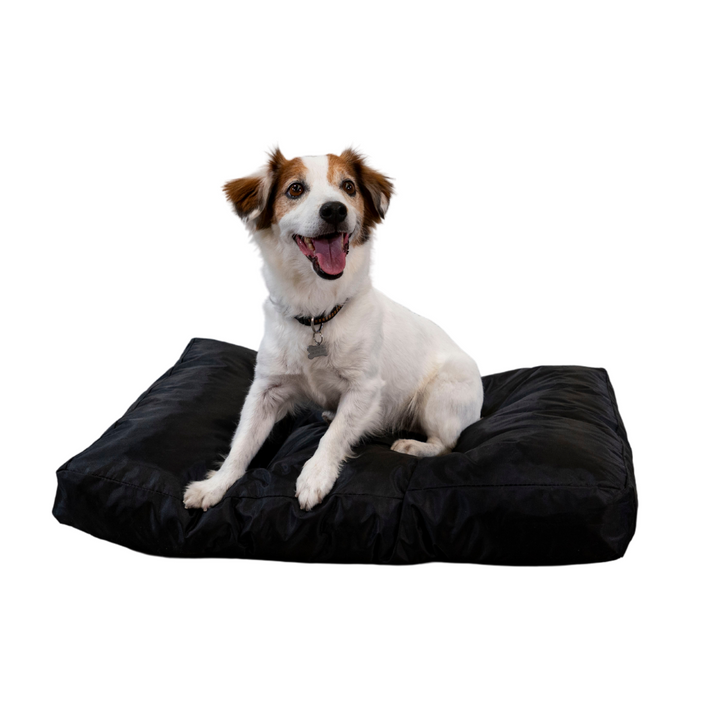 Panier Chien - 75x50x10 Cm