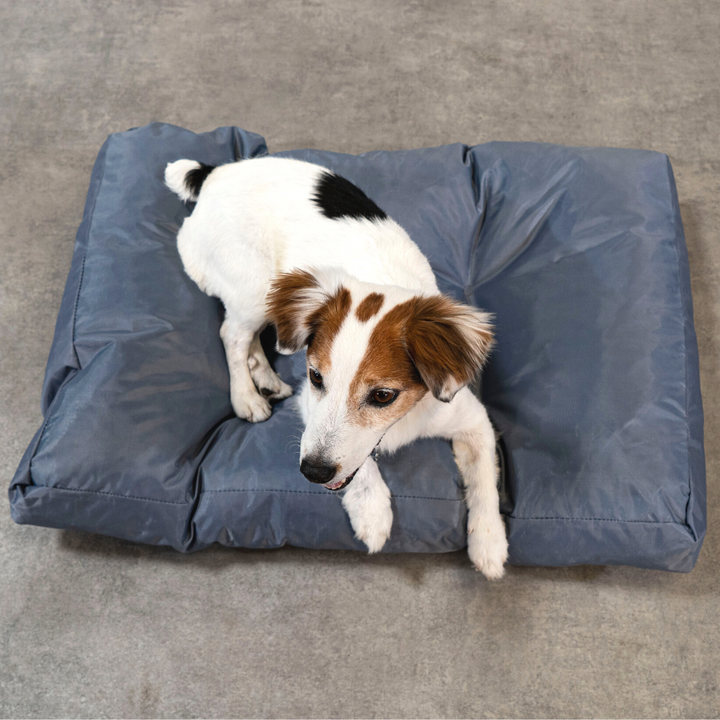 Panier Chien - 75x50x10 Cm
