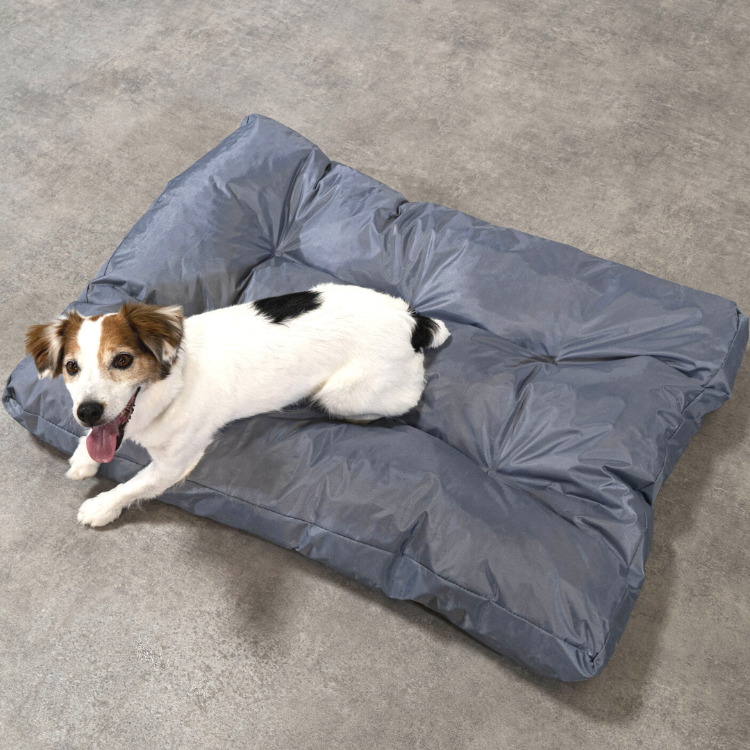 Panier Chien - 90x65x10 Cm